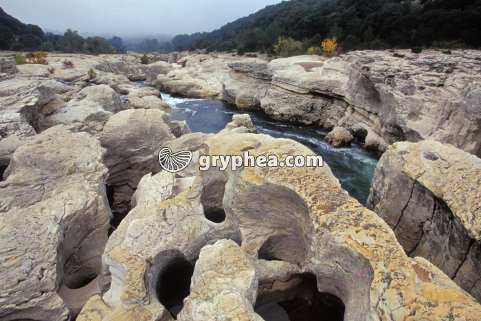 Gorges de la Cèze - gryphea.org